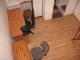 Mieszkanie, Krak�w - Stare Miasto, Starowi�lna